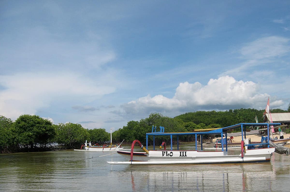 A traditional jukung boat moored among the mangroves of Nusa Lembongan