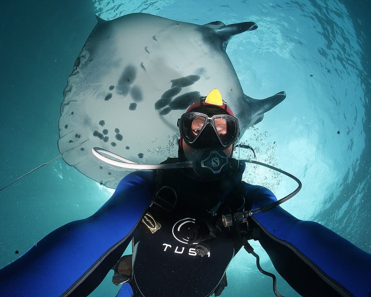 A scuba diver beneath a giant manta ray off Nusa Penida